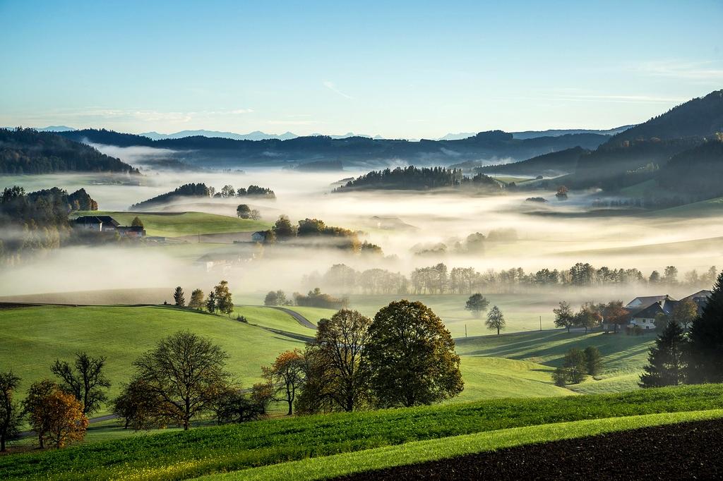 International students learning cultural etiquette in interactive workshop setting