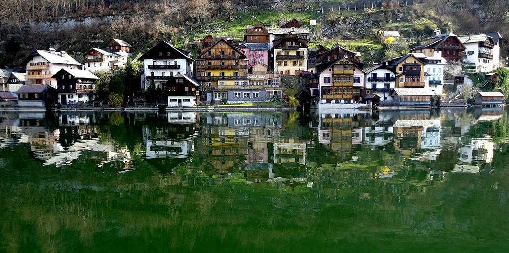 Local cultural expert explaining traditional customs in authentic market environment